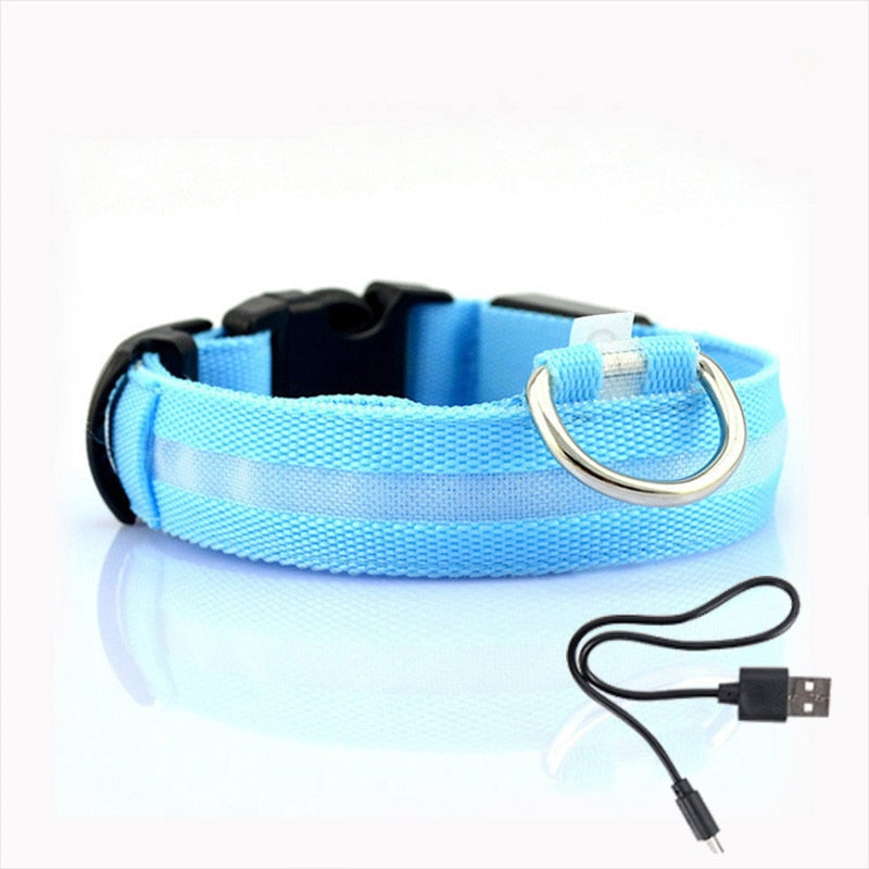 Blaues LED-Hundehalsband mit USB-Ladekabel, reflektierend, verstellbar, für Sicherheit bei Nacht.