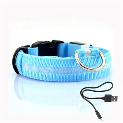 Blaues LED-Hundehalsband mit USB-Ladekabel, reflektierend, verstellbar, für Sicherheit bei Nacht.
