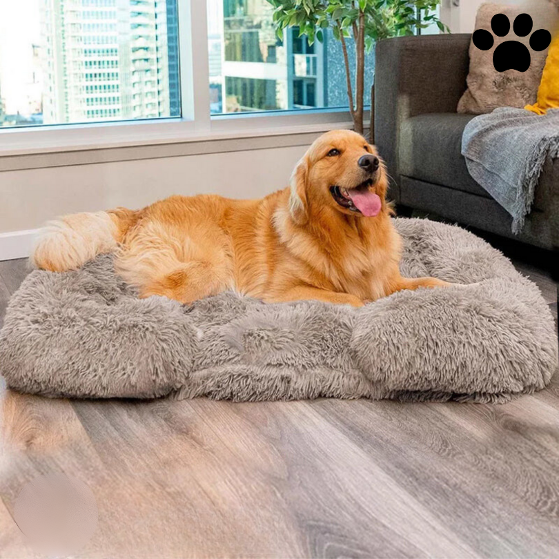 Goldener Retriever auf grauem, flauschigem Hundebett im Wohnzimmer, Stadtblick im Hintergrund.