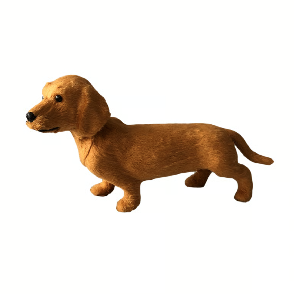 Brun mjuk tax i sidovy mot vit bakgrund, stående med svart nos och små svarta ögon. 1