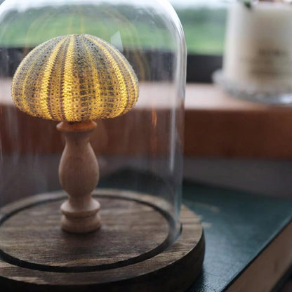 Seashell Inspired Nightlight -  Ocealyn