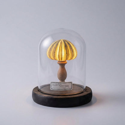 Seashell Inspired Nightlight -  Ocealyn