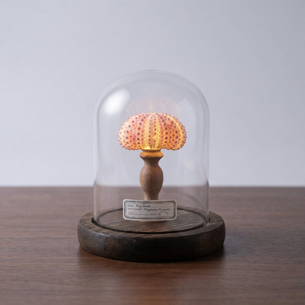 Seashell Inspired Nightlight -  Ocealyn