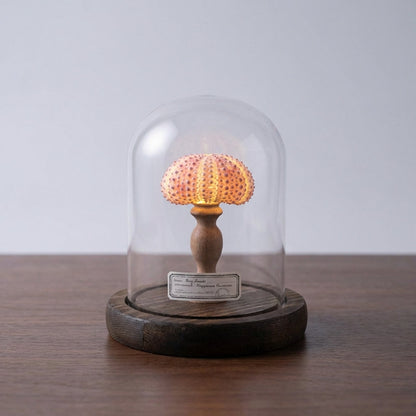 Seashell Inspired Nightlight -  Ocealyn