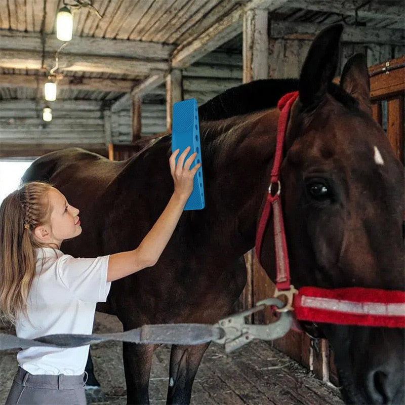 Frau bürstet braunes Pferd im Stall mit blauer Pferdebürste, Pferdepflege, Reitzubehör.