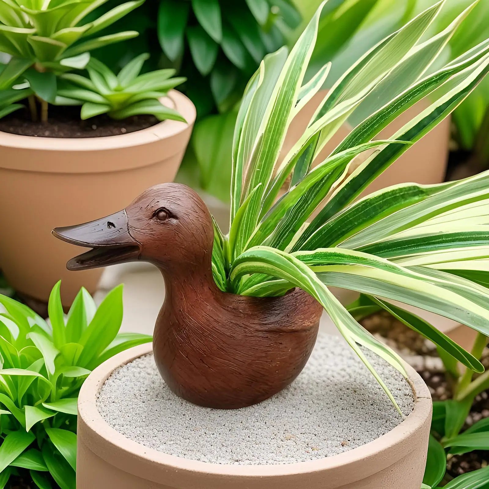 Entenförmiger Pflanztopf aus Holz mit grüner Pflanze, dekorativ für Garten oder Balkon.