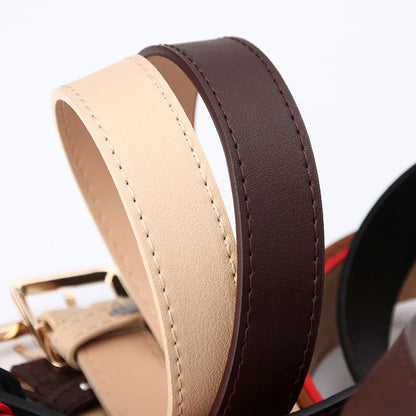 Brauner und beiger Ledergürtel mit einfacher Metallschnalle, modisches Accessoire.