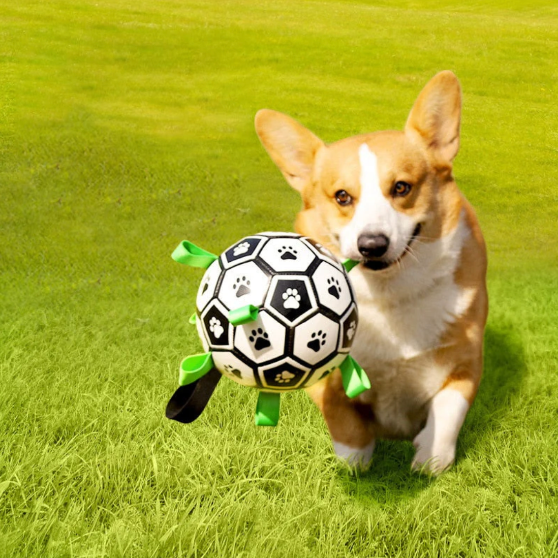 Hållbar hundsportboll med handtag – TugBounce