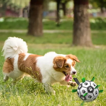 Hållbar hundsportboll med handtag – TugBounce