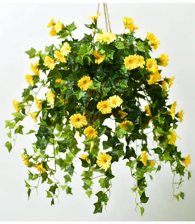 Gula blommor med rikligt med gröna blad hänger ned från en korg upphängd i rep mot vit bakgrund. 2