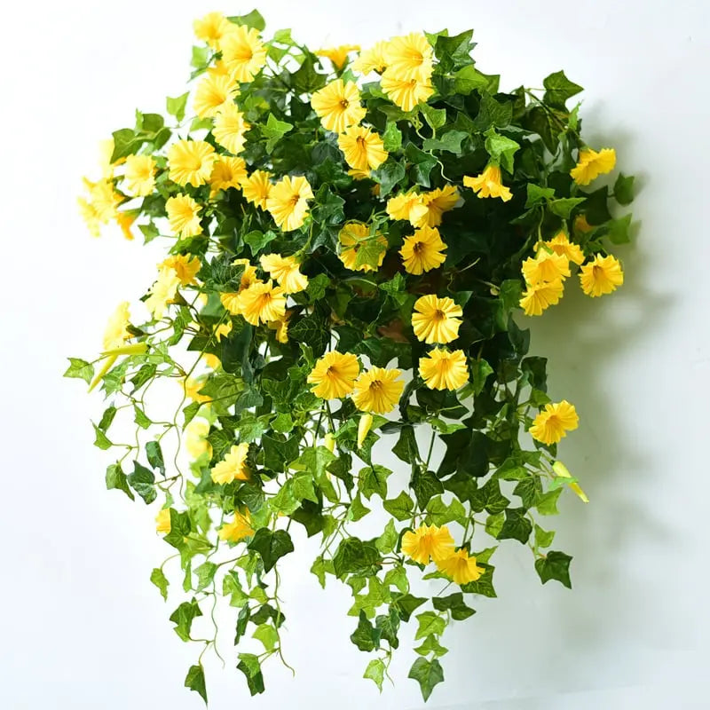 Gula blommor med mörkgröna blad bildar en tät hängande bukett mot en vit vägg, sedd rakt framifrån. 5