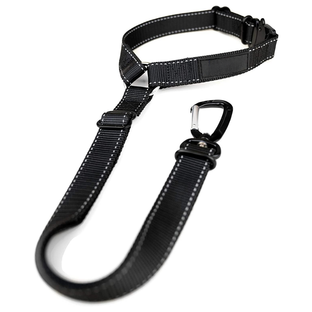 Schwarze Hundeleine aus Nylon mit Karabinerhaken, verstellbar, strapazierfähig, für Hunde.