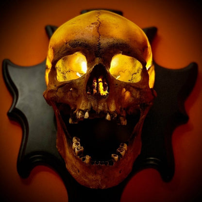 Wall Mounted Skull Lamp -  Nocturiskull