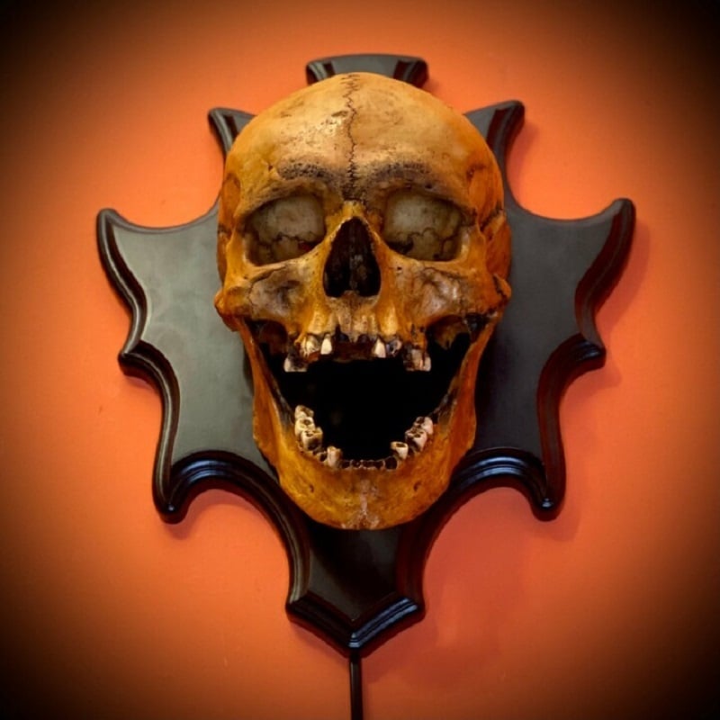 Wall Mounted Skull Lamp -  Nocturiskull