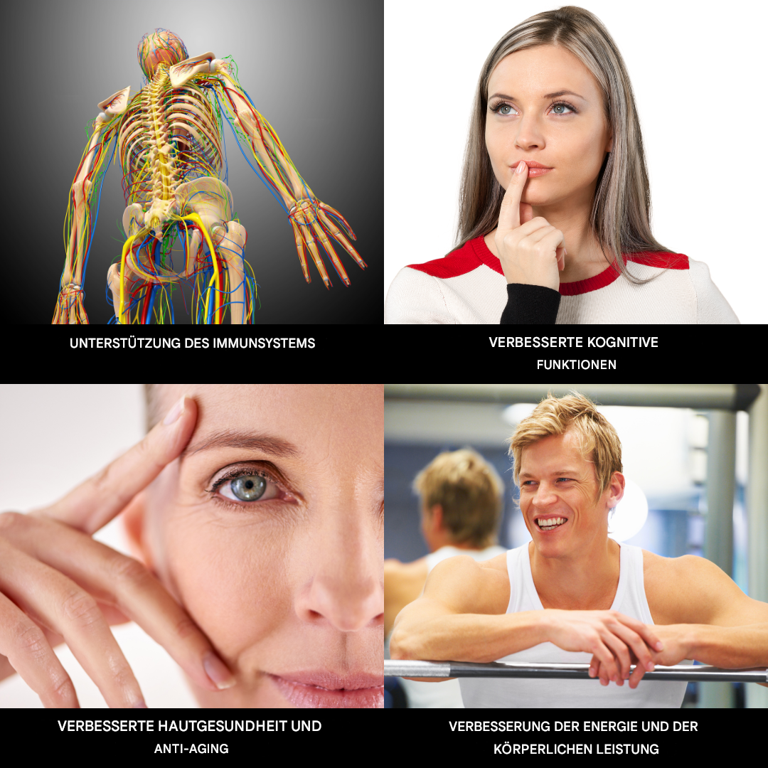 Vier Bilder: Immunsystem, kognitive Funktionen, Hautgesundheit, Energie und Leistung verbessern.