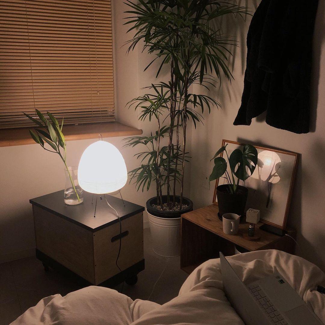 Akari Tischlampe, weiß, modern, beleuchtet, neben Zimmerpflanzen, gemütliches Schlafzimmer.