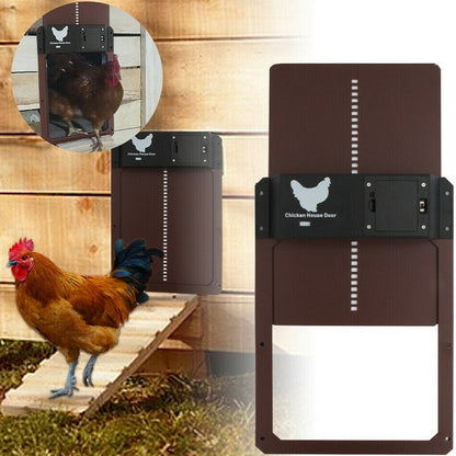 Automatische Hühnerklappe braun, wetterfest, mit Huhn, für sicheren Hühnerstall-Eingang.