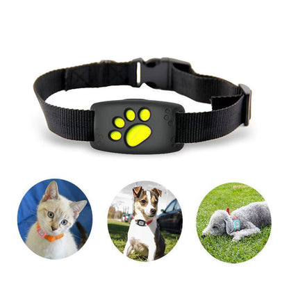 Intelligent GPS-halsband för katter och små hundar – PawTrack