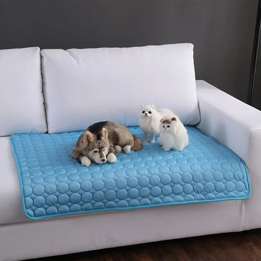 Blaue wasserdichte Hundedecke auf weißem Sofa mit drei Plüschhunden, rutschfest, maschinenwaschbar.