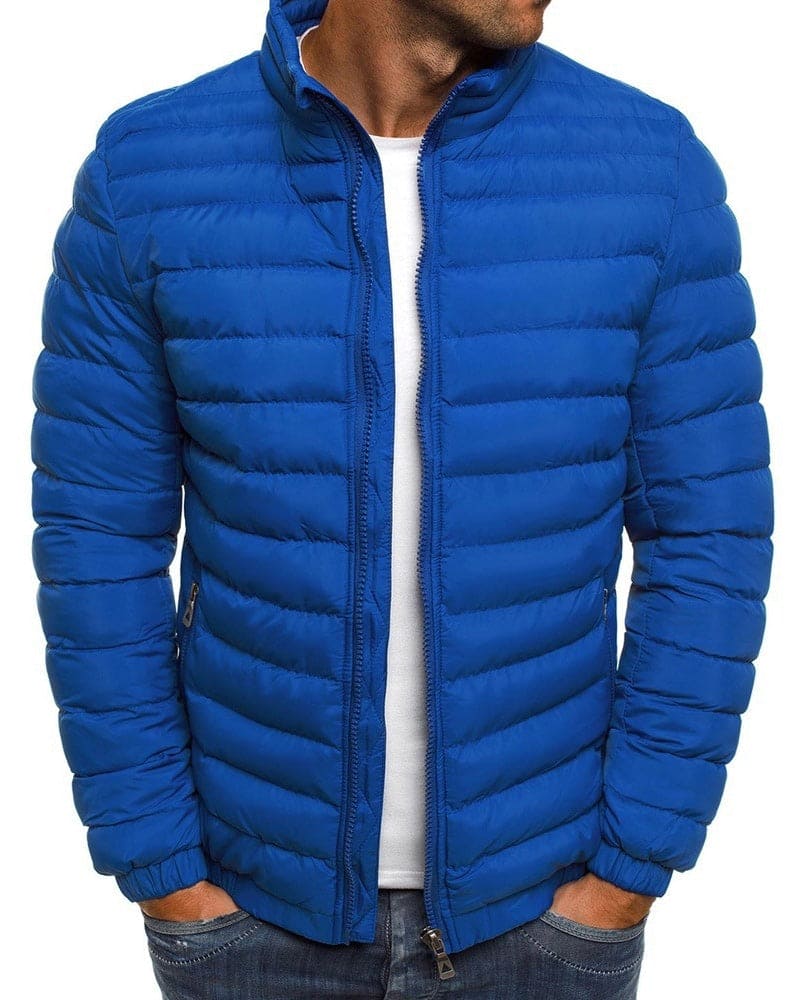 Blauer Herren-Daunenjacke, Stehkragen, Reißverschluss, Wintermode, warm, stylisch.