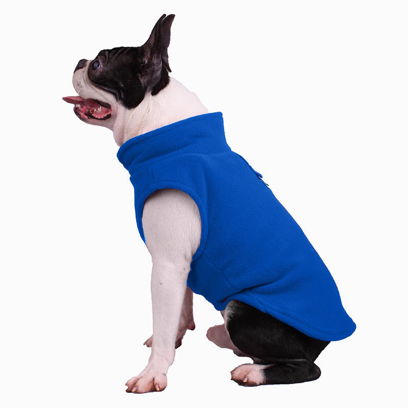 Französische Bulldogge in blauem Fleece-Hundemantel, seitlich, isoliert auf weißem Hintergrund.
