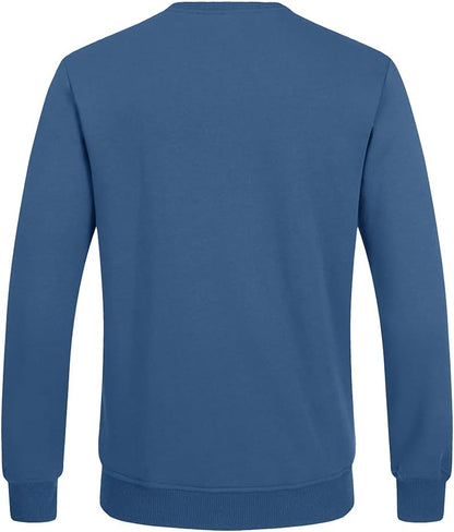 Blauer Herrenpullover, langärmelig, Baumwolle, Rückansicht, modisch, bequem, Freizeitkleidung.