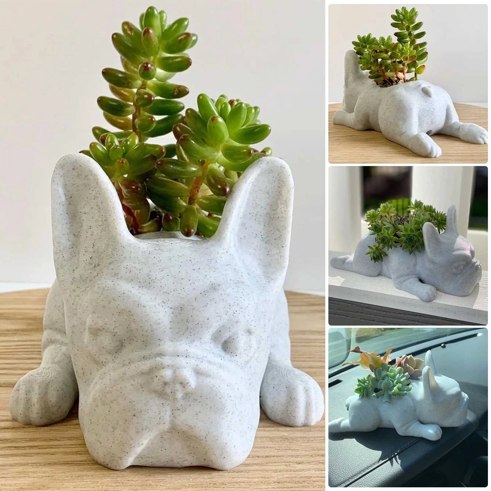 Beton Blumentopf Hund, Sukkulentenhalter, dekorativer Pflanzkübel, modernes Design, Grau.