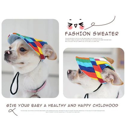 Kleiner Hund mit bunter Mütze, modisches Haustierzubehör, niedliches Design, Outdoor-Schutz.