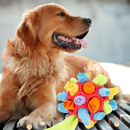 Golden Retriever mit buntem Schnüffelball, Hundespielzeug, interaktive Beschäftigung, Neugier.