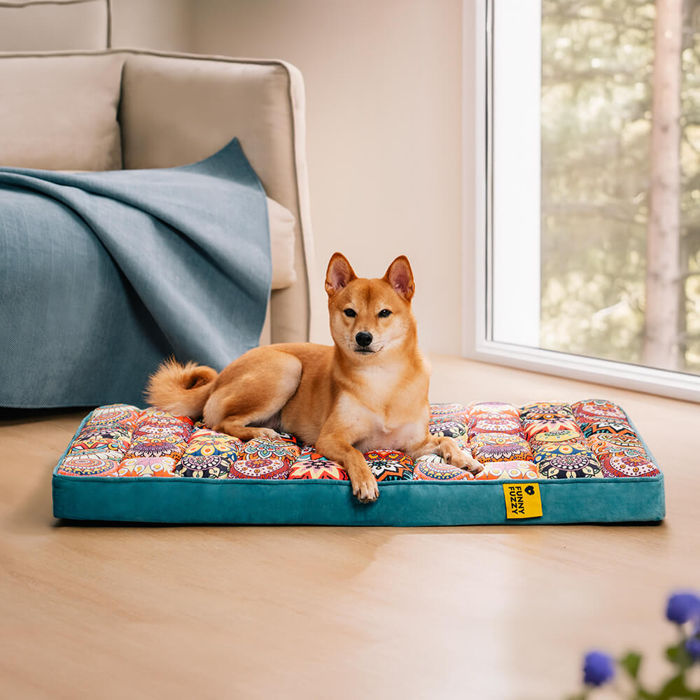Hund auf buntem Hundebett im Wohnzimmer, blaues Sofa, Fensterblick, gemütlich, modern.