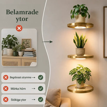 Jämförelse av en belamrad byrå med krukor och böcker till vänster och tre upplysta runda vägghyllor med växter till höger. 2