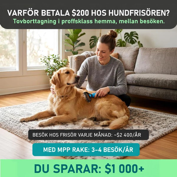 Kvinna sitter på en matta i vardagsrummet och rakar en golden retriever med den blå rakan. 2