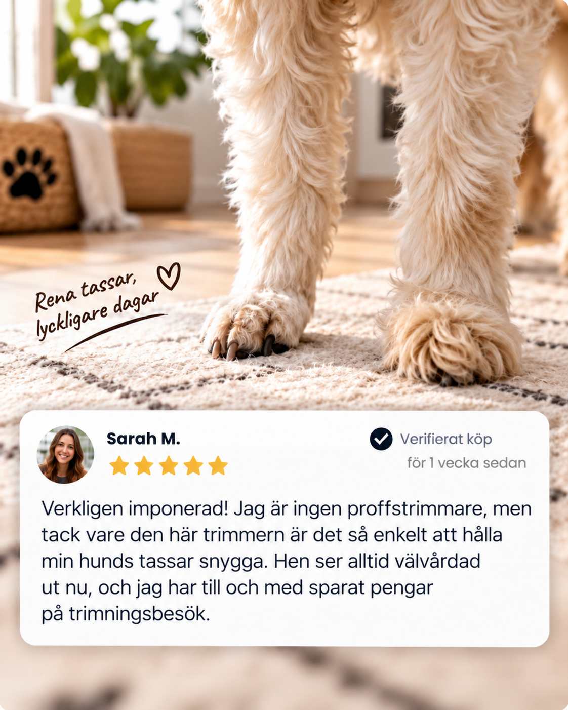 Låga bilder på en hunds välansade tassar på en matta, med ett kundomdöme nedanför 9
