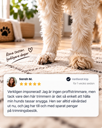 Låga bilder på en hunds välansade tassar på en matta, med ett kundomdöme nedanför 9
