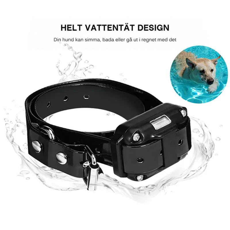 Svart halsband omgivet av vattenstänk, med en liten bild på en simmande hund 7