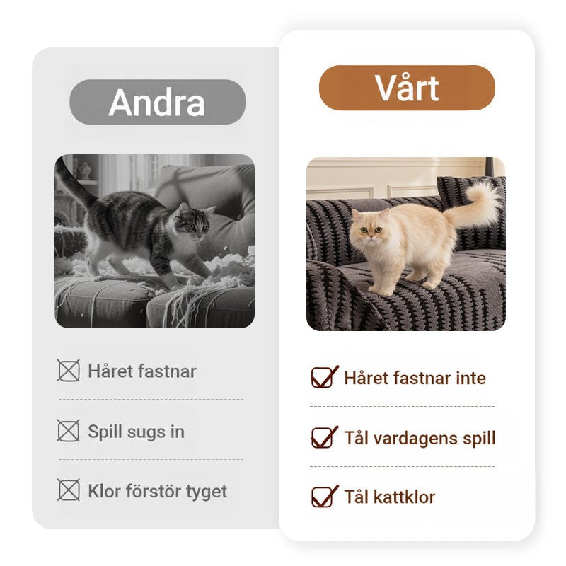Jämförelse mellan en katt som förstör en vanlig soffa och en katt lugnt på överdraget 4