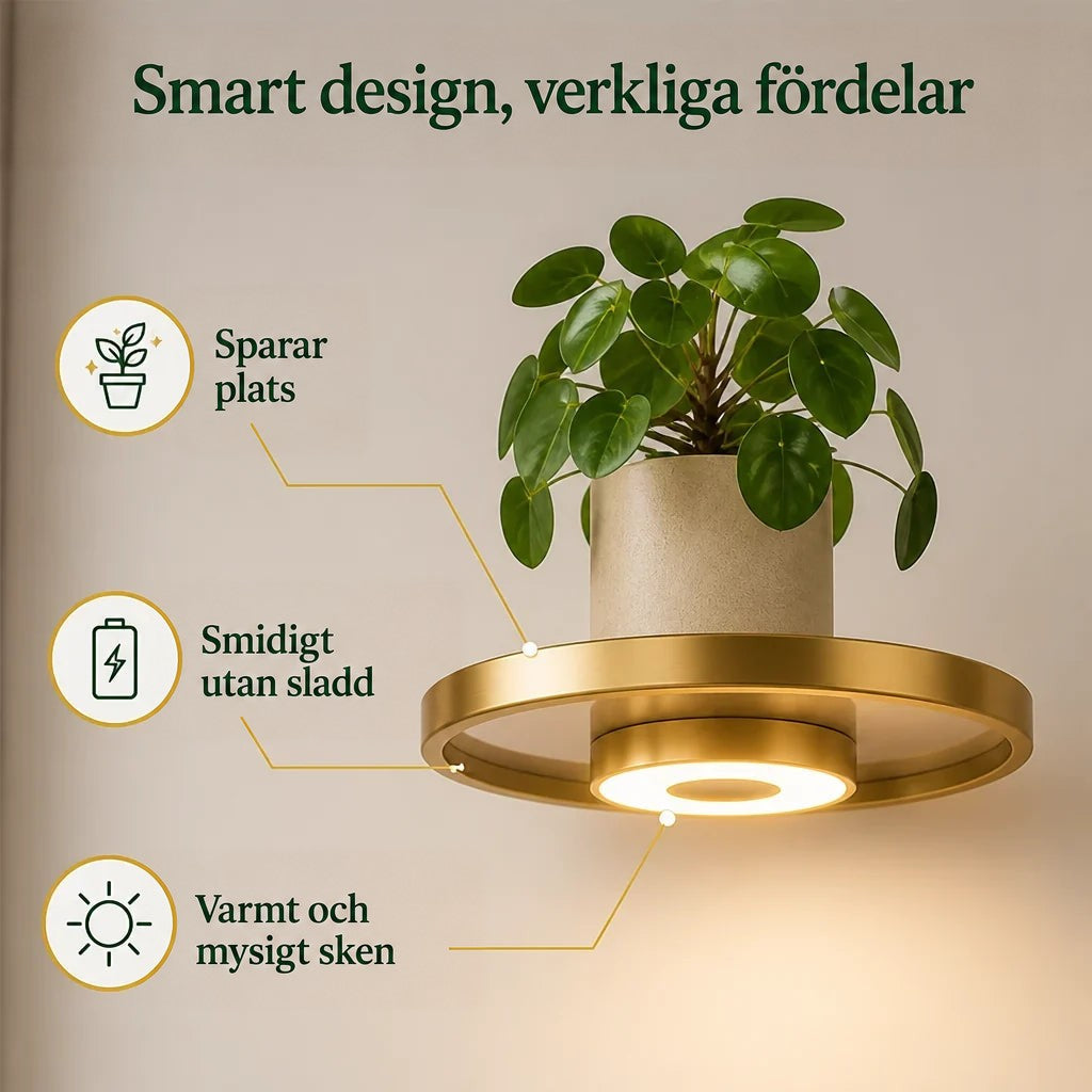 Närbild på en rund guldfärgad hylla med inbyggd rund lampa underifrån och en kruka med en rundbladig växt ovanpå. 3
