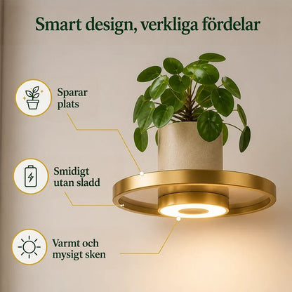 Närbild på en rund guldfärgad hylla med inbyggd rund lampa underifrån och en kruka med en rundbladig växt ovanpå. 3
