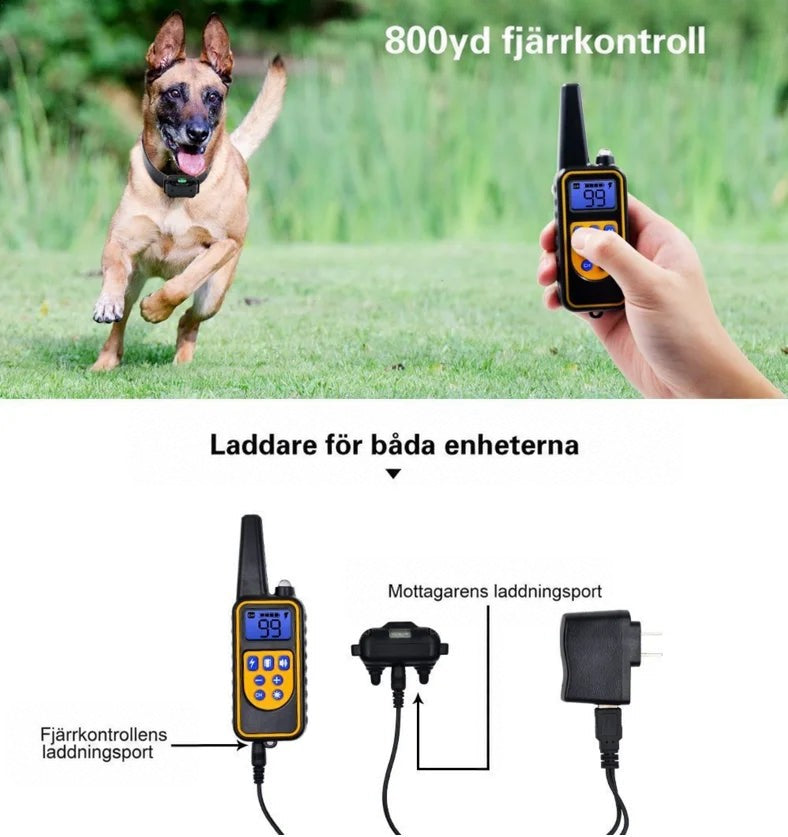 Schäfer springer på gräs medan en hand håller fjärrkontrollen, med laddningskablar och adapter nedanför 5