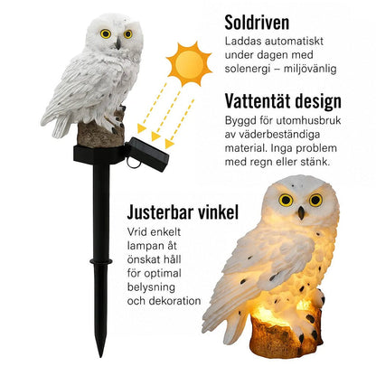 Vit uggla på spett med fällbar solcellspanel bredvid en närbild av den lysande ugglan, med förklarande ikoner om funktionerna. 3