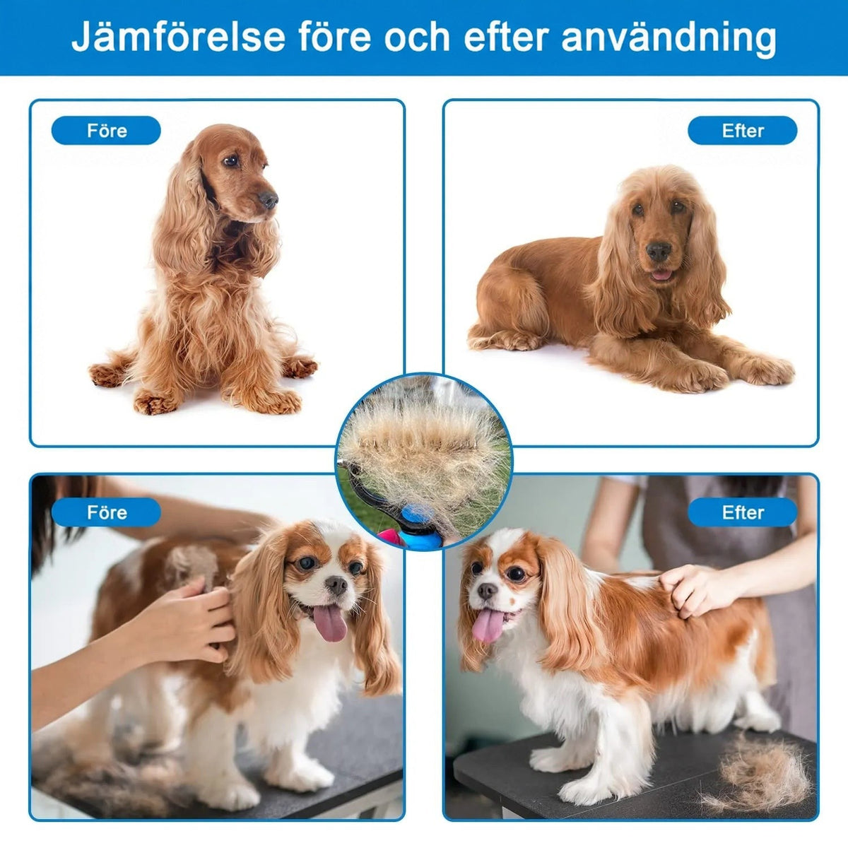 Före- och efterbilder av en cockerspaniel och en cavalier king charles spaniel, med en raka full av löshår i mitten. 6
