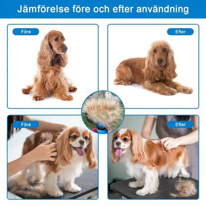 Före- och efterbilder av en cockerspaniel och en cavalier king charles spaniel, med en raka full av löshår i mitten. 6