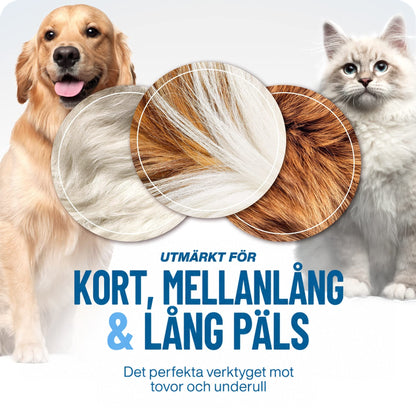 Golden retriever och långhårig vit katt bredvid tre närbilder av päls, som visar att rakan passar kort, medellång och lång päls. 5
