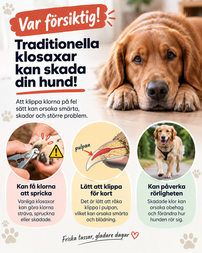 Informationsbild som varnar för att vanlig klosax kan skada hunden, med tre förklarande cirklar 4