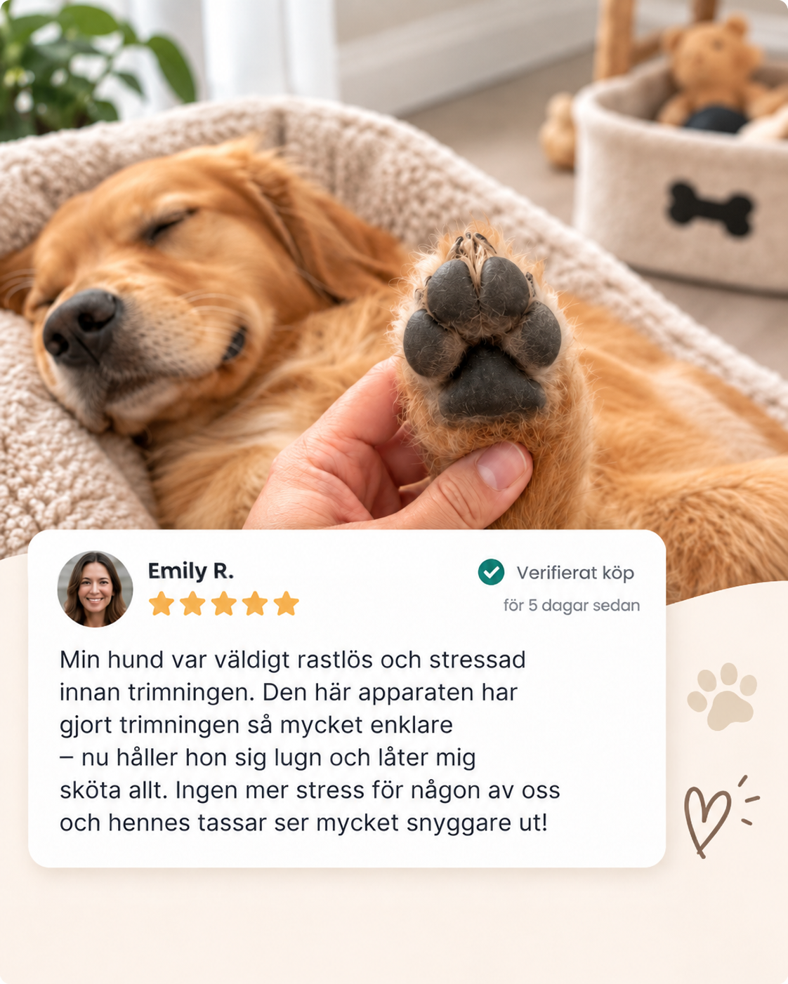 Sovande hund i en säng med tassen i en hand, ovanför ett kundomdöme med fem stjärnor 8