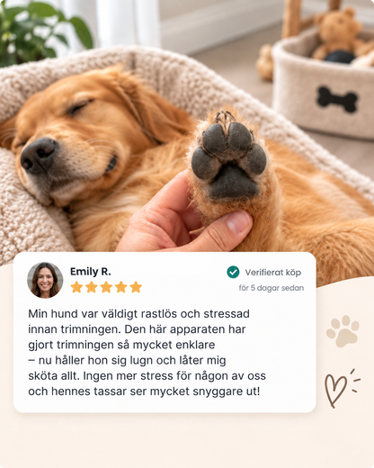 Sovande hund i en säng med tassen i en hand, ovanför ett kundomdöme med fem stjärnor 8