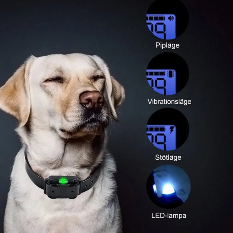 Ljus labrador med halsbandet på och fyra bilder av displayen för ljud, vibration, stötar och ljus 9