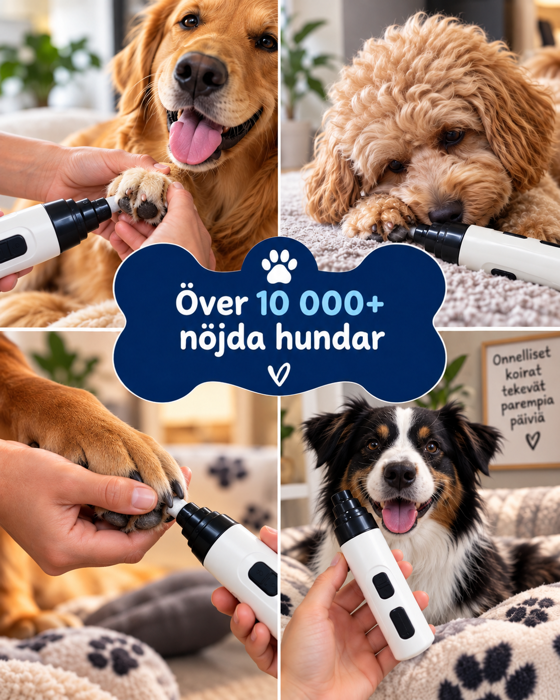 Kollage med fyra hundar, bland dem en gyllene, en lockig och en trefärgad, som får klorna filade 10