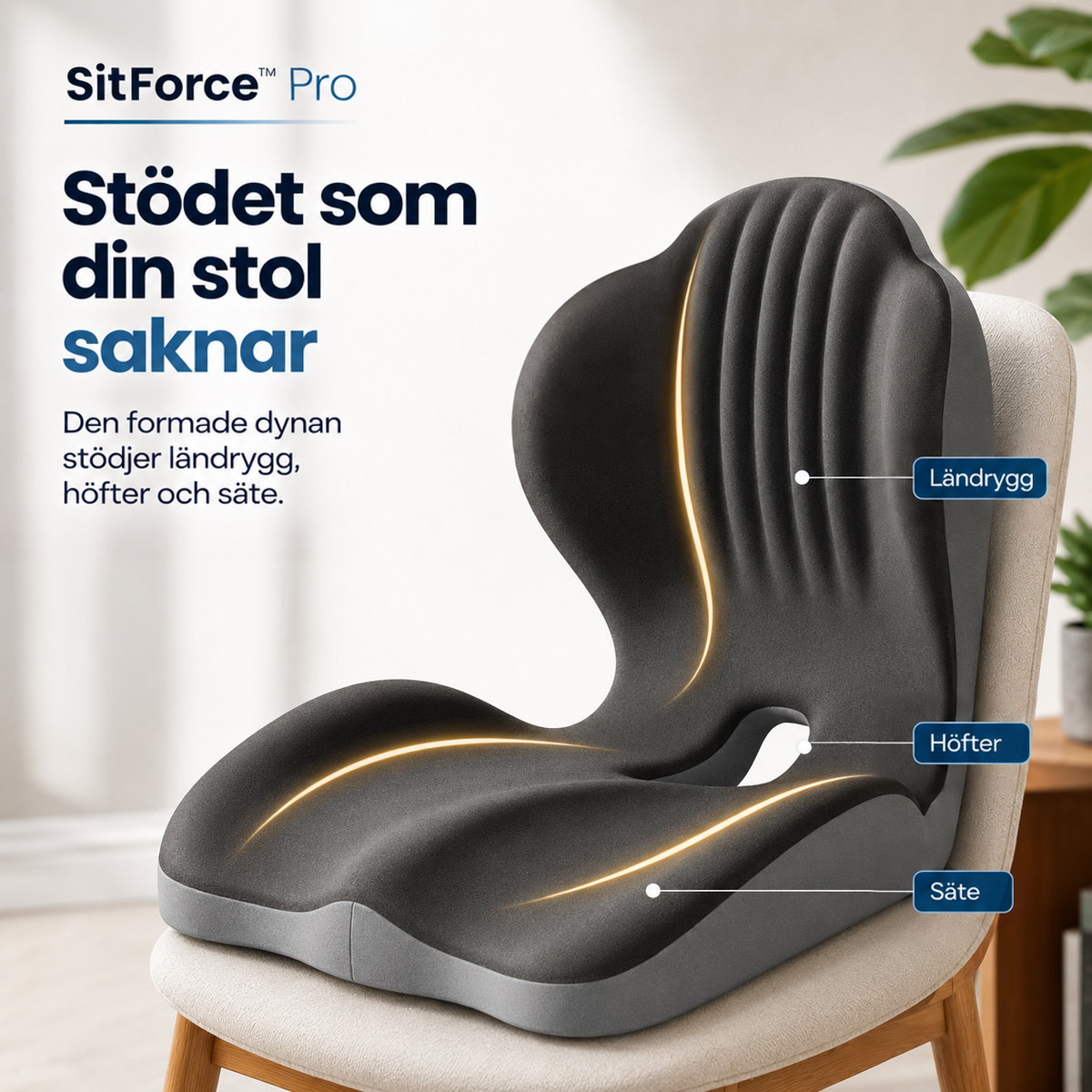 Sittdynan på en stol med markerade stödzoner för ländrygg, höfter och sittyta 13