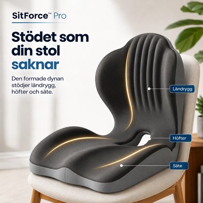 Sittdynan på en stol med markerade stödzoner för ländrygg, höfter och sittyta 13